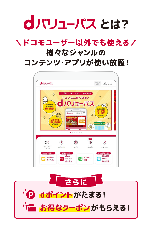 d�o�����[�p�X�Ƃ́H