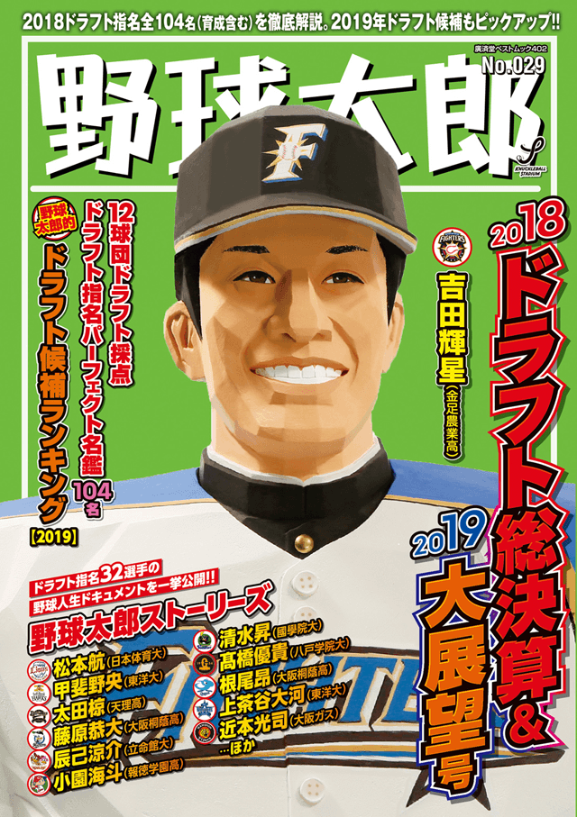 野球太郎No.029 2018ドラフト総決算&2019大展望号　表紙